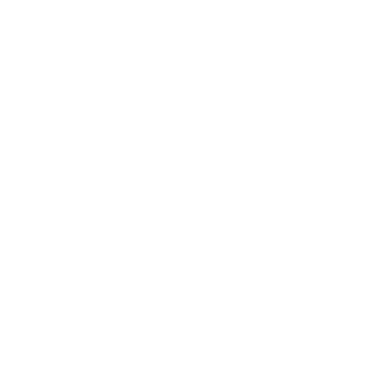 Vision Ski School